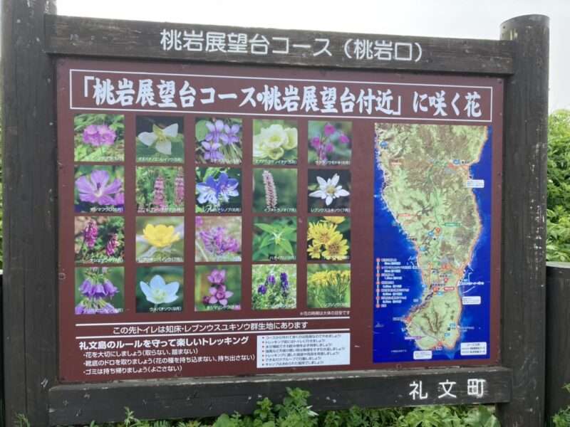 桃岩コースに咲く花