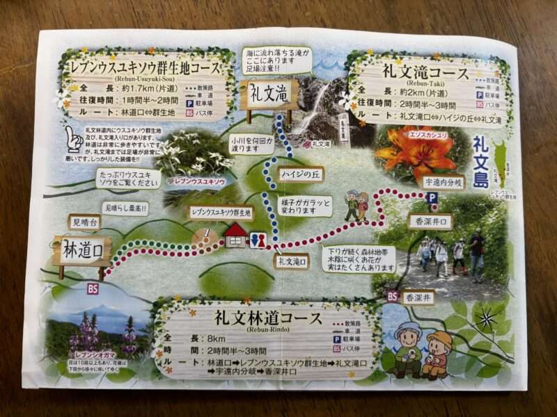 礼文島の礼文林道ハイキングコース