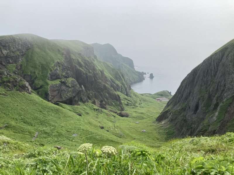 利尻島の桃岩ハイキングコースからの絶景