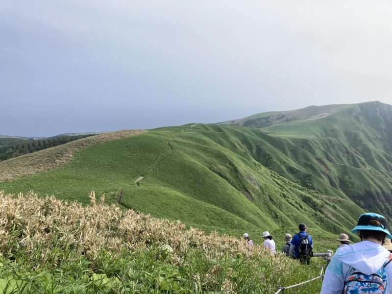 礼文島ハイキング
