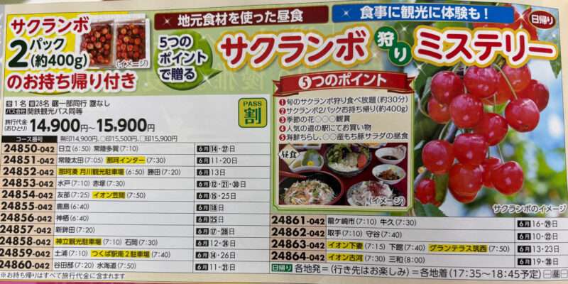 クラブツーリズムのさくらんぼ狩りチラシ