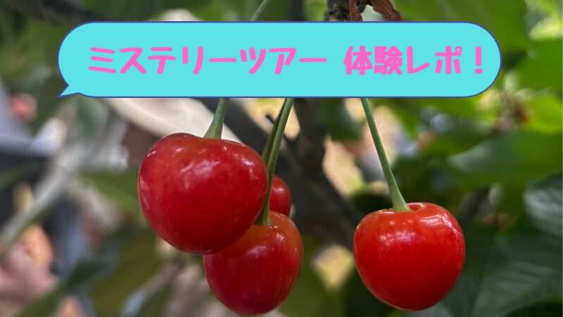赤いさくらんぼ✕ミステリーツアー