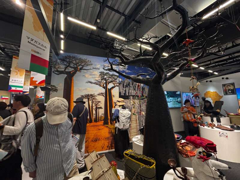 大阪万博２０２５のマダガスカルの展示