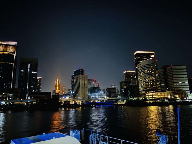 さるびあ丸デッキから竹芝ふ頭を見た夜景