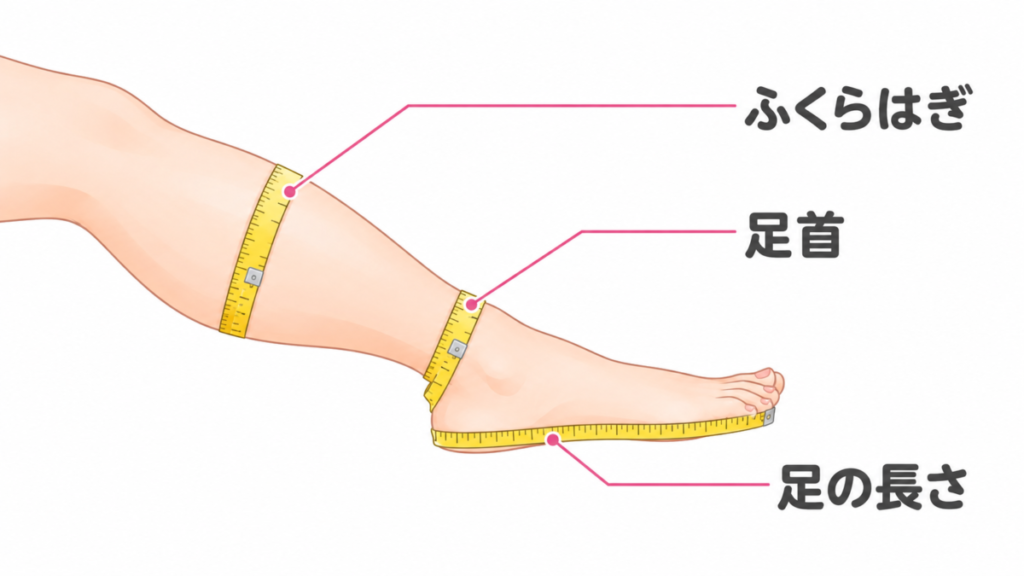 着圧ソックスのサイズを測る3か所を示した図解。足首とふくらはぎと足の長さにメジャーを当てている