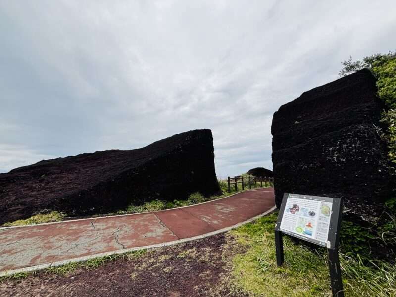 伊豆大島の赤禿（あかっぱげ）サイクリングロード