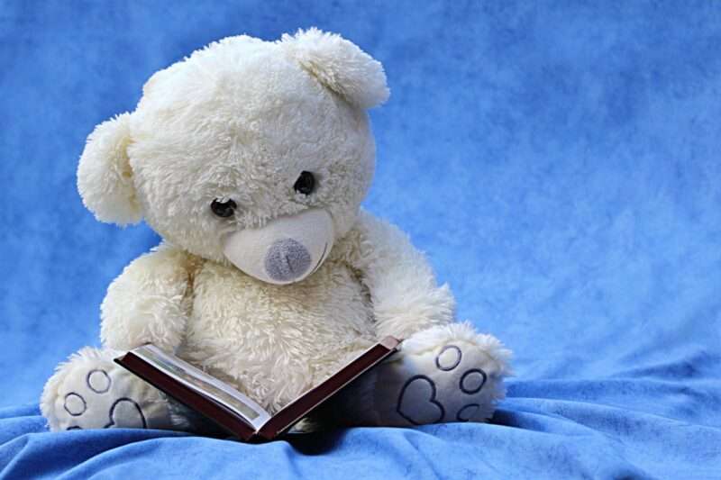 白いクマのぬいぐるみが本を読んでいる様子