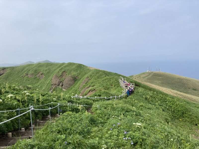 礼文島ハイキング