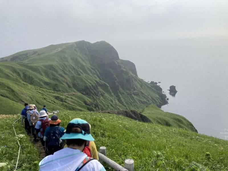 礼文島ハイキング
