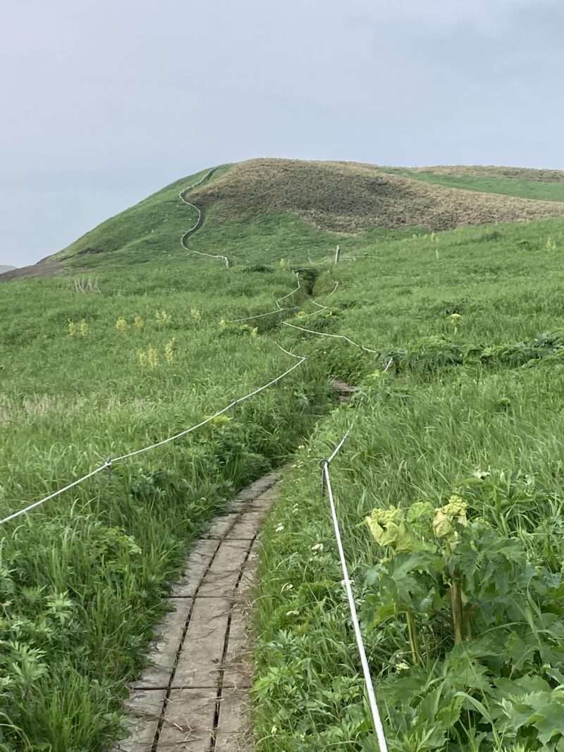 礼文島ハイキング