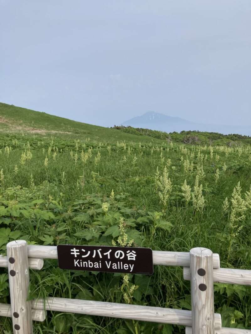 礼文島ハイキング