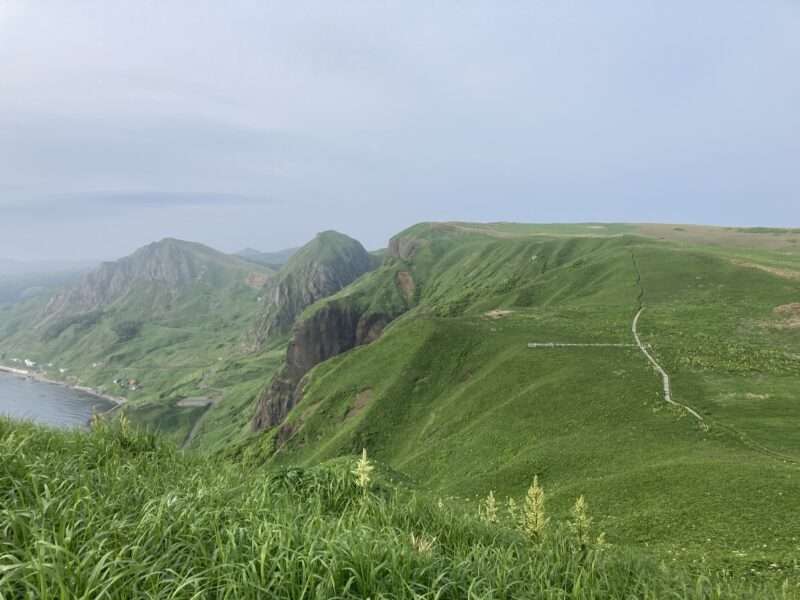 礼文島ハイキング