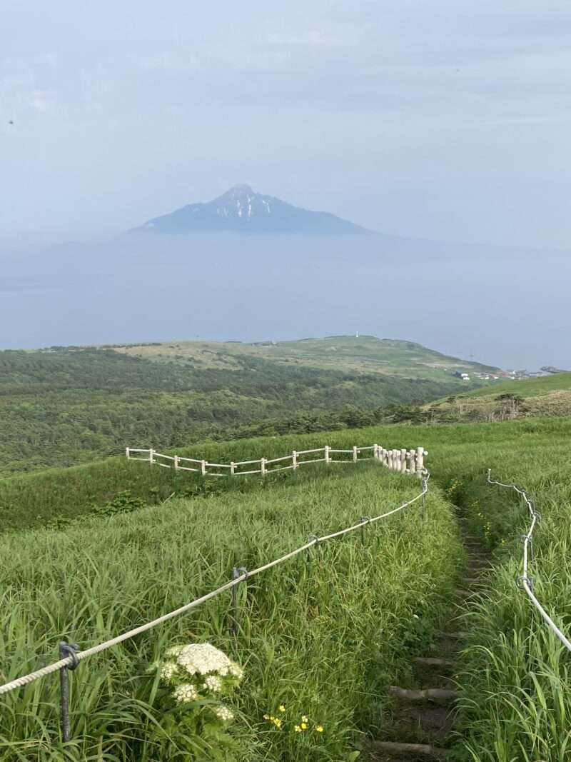 礼文島ハイキング