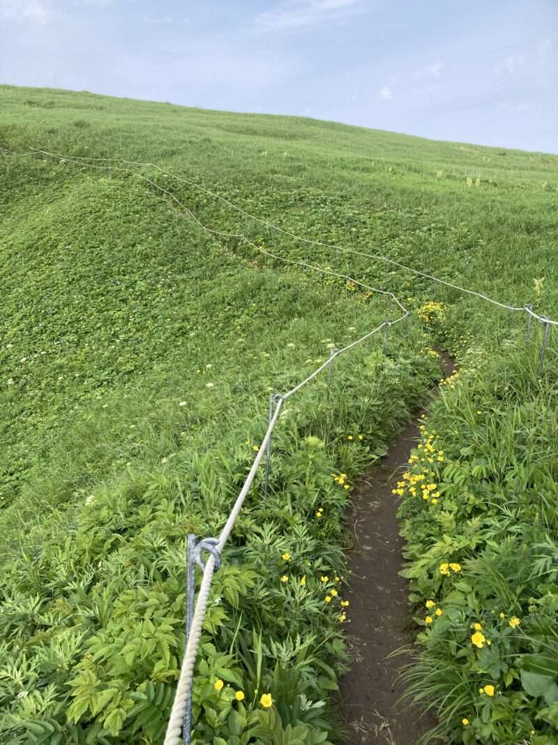 礼文島ハイキング