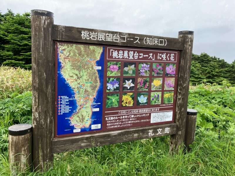 礼文島ハイキング