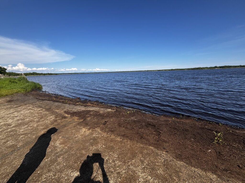 青空の下に広がるウトナイ湖の湖面と湖畔の風景(北海道・苫小牧市)