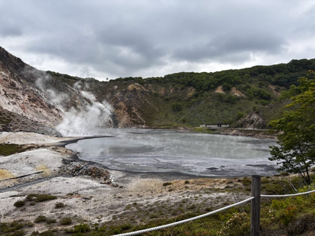 高台から見下ろす大湯沼、灰色の湯面から白い蒸気が立ちのぼる全景